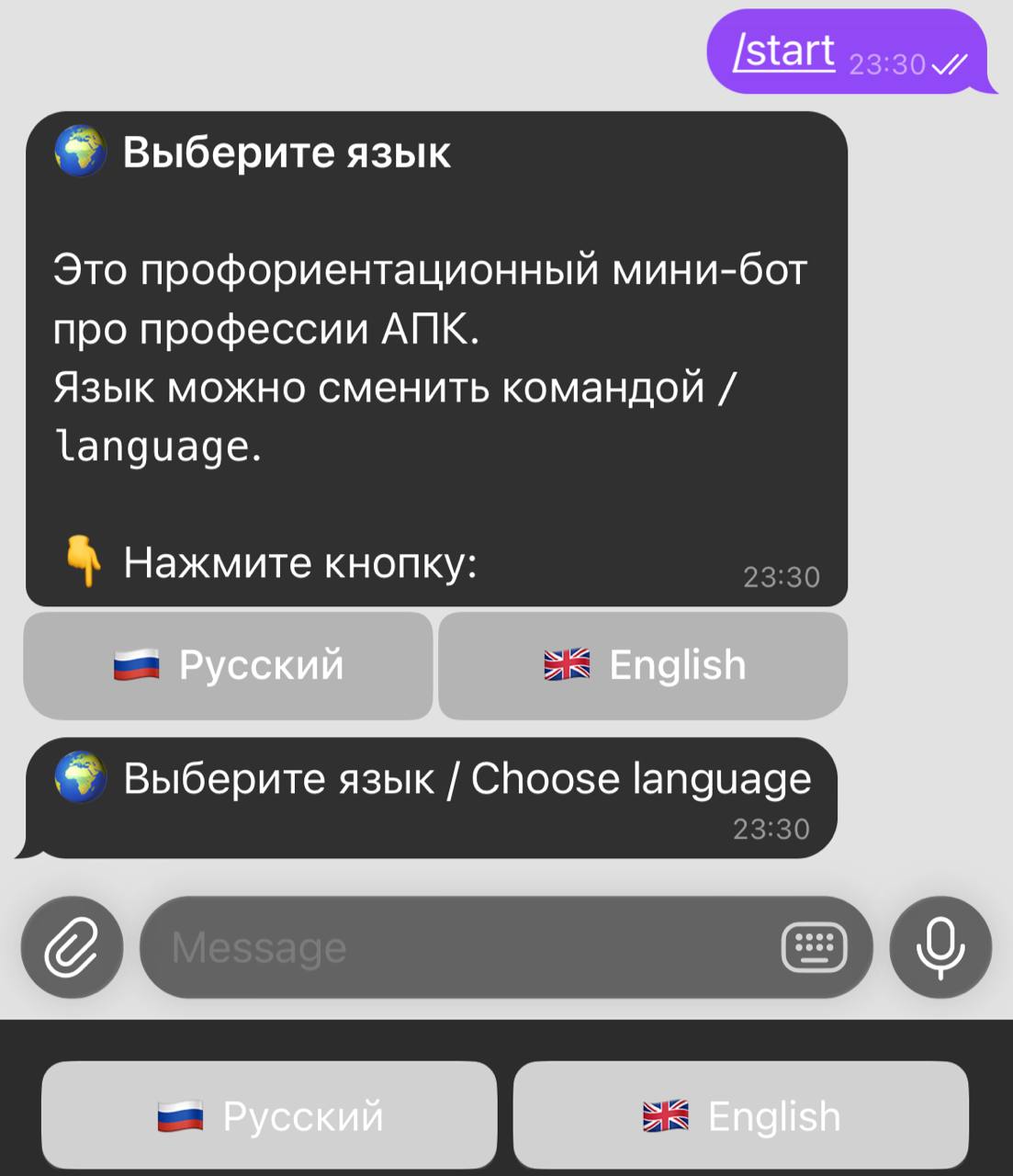 Language selection